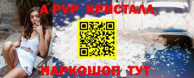 тгк Новозыбков