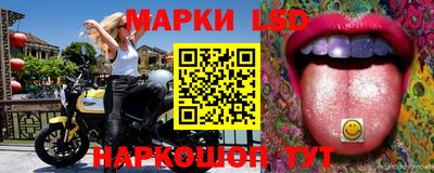 тгк Новозыбков