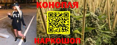 ECSTASY Новодвинск