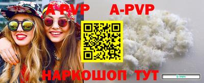 тгк Новозыбков