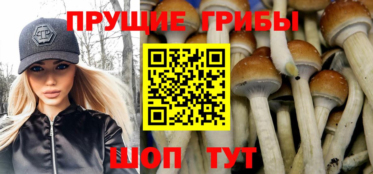Галлюциногенные грибы Cubensis Строитель